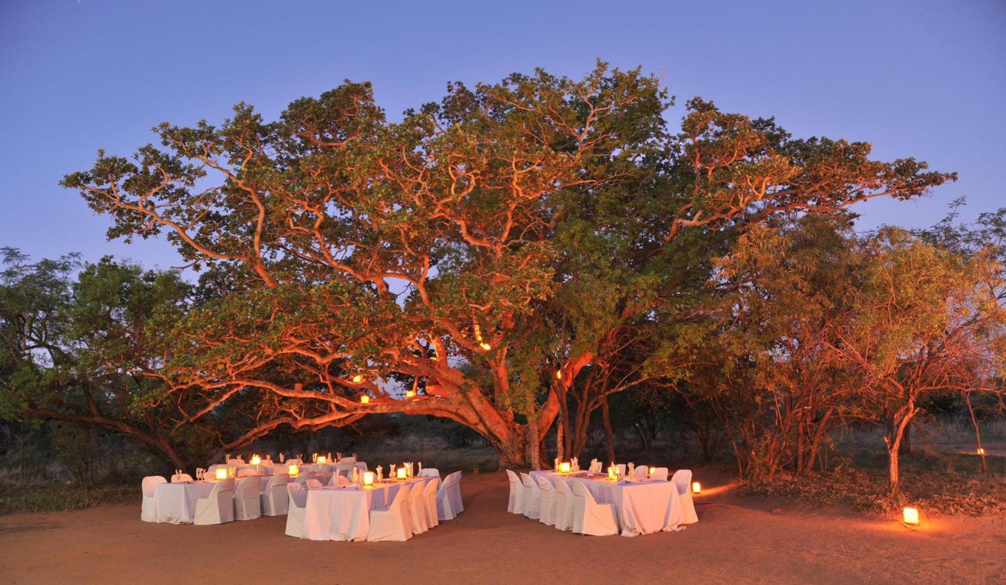 Mabula Game Lodge Mabula Game Reserve Esterno foto