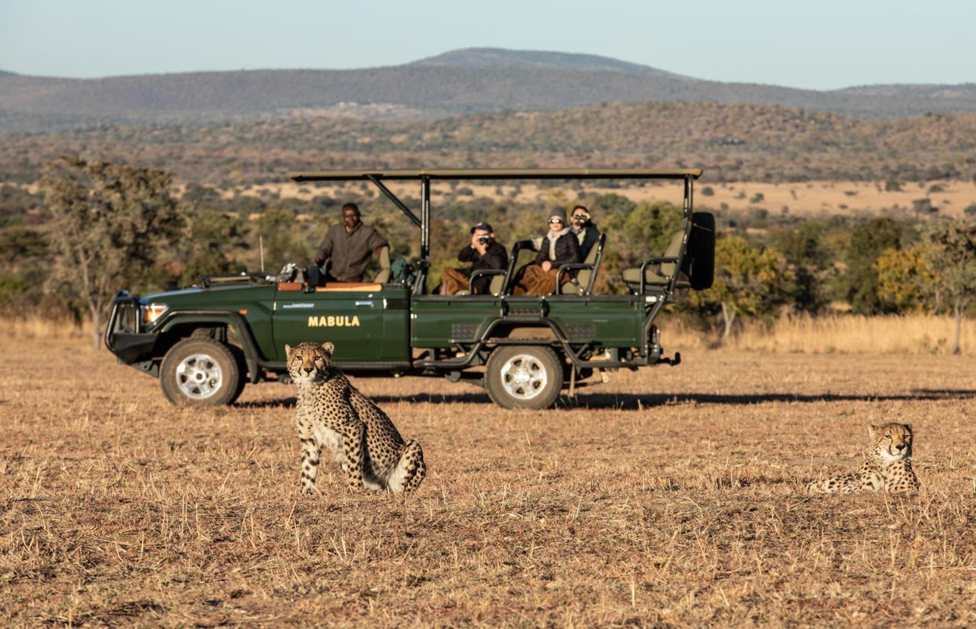 Mabula Game Lodge Mabula Game Reserve Esterno foto
